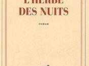 L'herbe nuits