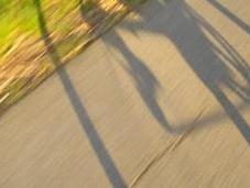 S'entraîner derrière cyclistes