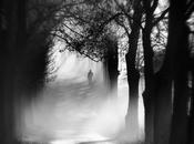 Sélection Pixfan 500px