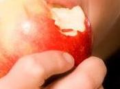 pomiculteurs craignent l'introduction d'une variété pomme