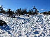 randonnée raquettes sans