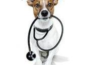 chiens pour diagnostiquer cancer poumon