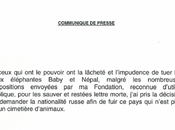 PEOPLE Brigitte Bardot demande nationalité russe