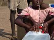 République centrafricaine CICR poursuit assistance Bangui dans nord pays