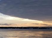 Nature étonnante...