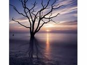 Sélection Pixfan 500px