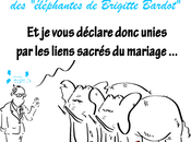 François Hollande suspend l'euthanasie "éléphantes Brigitte Bardot"
