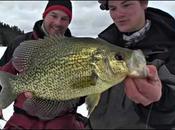 Pêche crappies sous glace