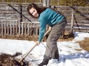 Jardinage bons conseils pour janvier