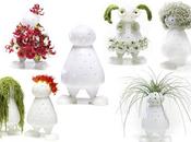 usuals collection bloom buddy vases