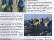Parution d'un article dans anales Société Sciences Naturelles d'Archéologie Toulon