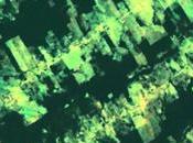 Amazonie visualisation déforestation