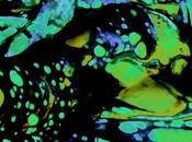 femme nous signe nouvel