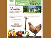 CHATEAU BOURDAISIERE 19ème édition Fête Plantes Poules