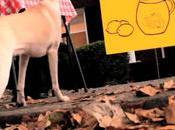 redistribution peut tuer goût l’effort