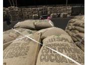 mutuellisme, clef d’un développement agricole durable Côte d’Ivoire