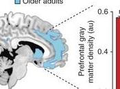 TROUBLES SOMMEIL liés perte mémoire chez personnes âgées Nature Neuroscience