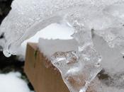 Sculptures glace