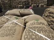 mutuellisme, clef d’un développement agricole durable Côte d’Ivoire