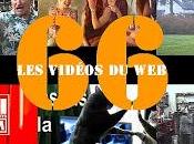 Lesvidéosduweb