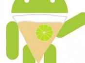 spot publicitaire confirme l'arrivée Nexus d'Android ainsi quelques caractéristiques