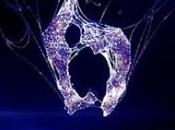 nouvelle direction pour prochain Resident Evil (encore…)?