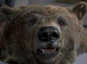 L’ours élue meilleure publicité tous temps