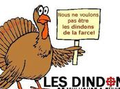 dindons seront-ils pigeons coucou @jmbockel #Mulhouse #LesDindons