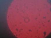 V.A. Midnight Specials