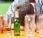 L'alcool entraîne dépression, plus souvent contraire