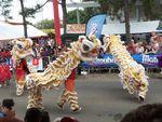 Grande parade Carnaval Kourou