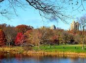 jolies couleurs d'automne Central Park
