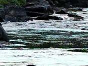 Vl’a l’printemps