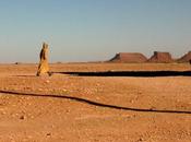Dans désert marocain