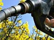 effets aides production biocarburants