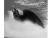 Jean-Pascal Imsand Maison photographie Robert Doisneau