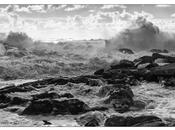 Sélection Darqroom Pixfan #105