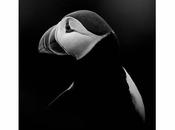 Sélection Flickr Pixfan #109