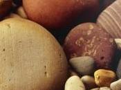 Lenovo annonce trois tablettes Android