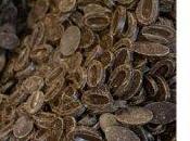 Dans coulisses Maison Chocolat