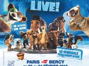 Chronique Glace Live