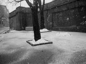 Klavdij Sluban Petite Poule Noire