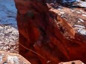 Canyon Cliff Jump, vidéo complètement hallucinante