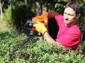 jardinage taux passe 19,6% pour tous travaux petit partir avril