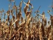 implications profondes rendements marginaux décroissants