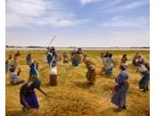 Côte d'Ivoire Louis Dreyfus l'État signent pour terres, mais quid paysans