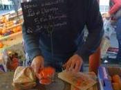 Premières fraises l'année