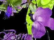 DIMANCHE question vous poser ????