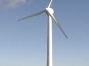 Éolien wallon mettons terme folie