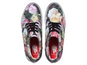 Vans Supreme bourgeons bout pieds